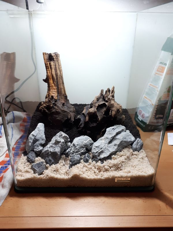 02 hardscape.jpg