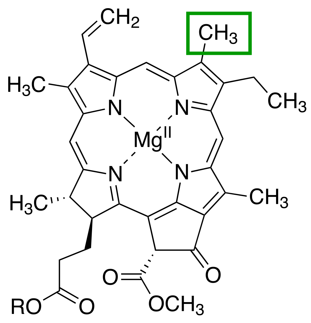 1024px-C-3_position_Chlorophyll_a.svg.png