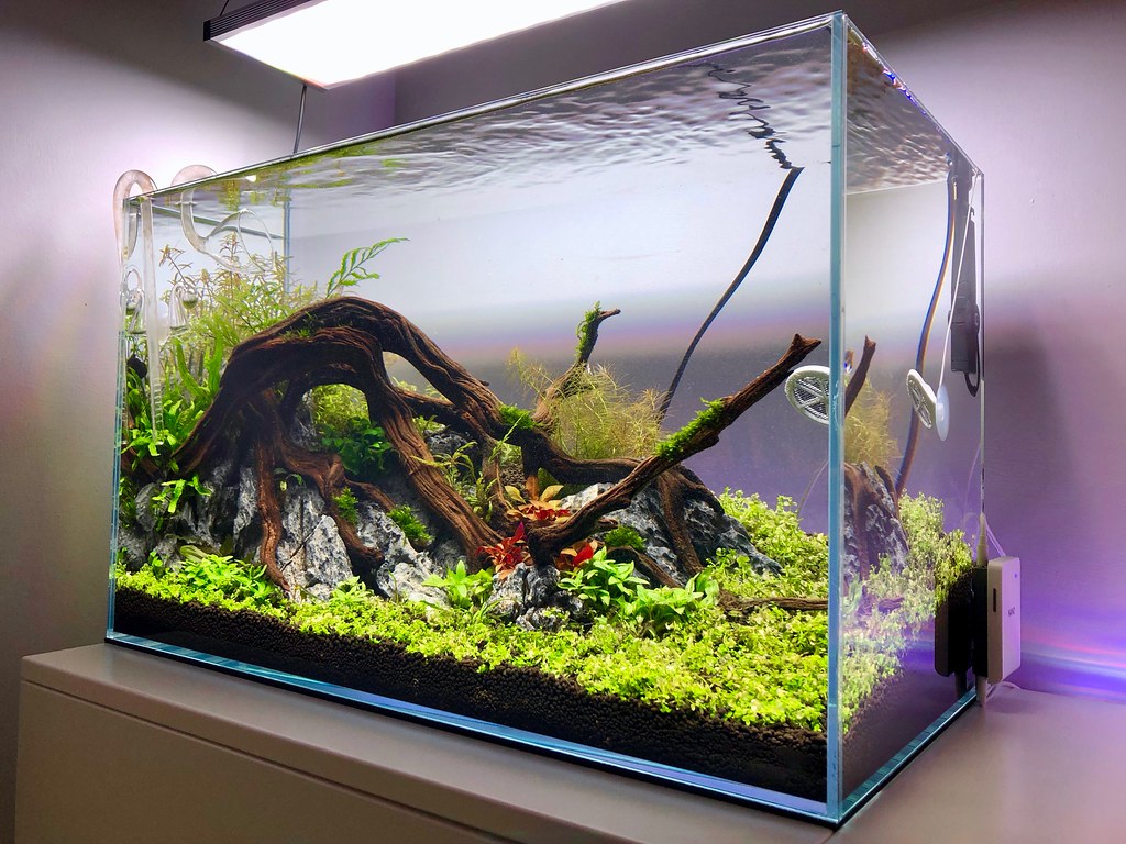 Superfish Scaper Aquarium Freshwater Crystal Clear Fish Tank Aquascape  Planting