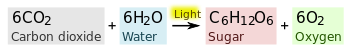 350px-Photosynthesis_equation.svg.png