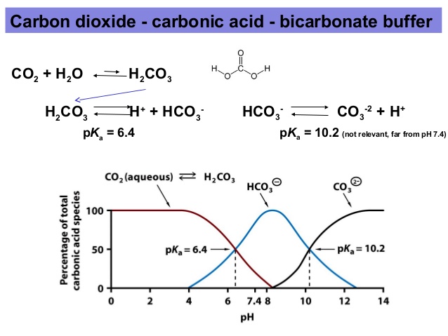 acidbase-equilibria-ph-and-buffers-17-638.jpg