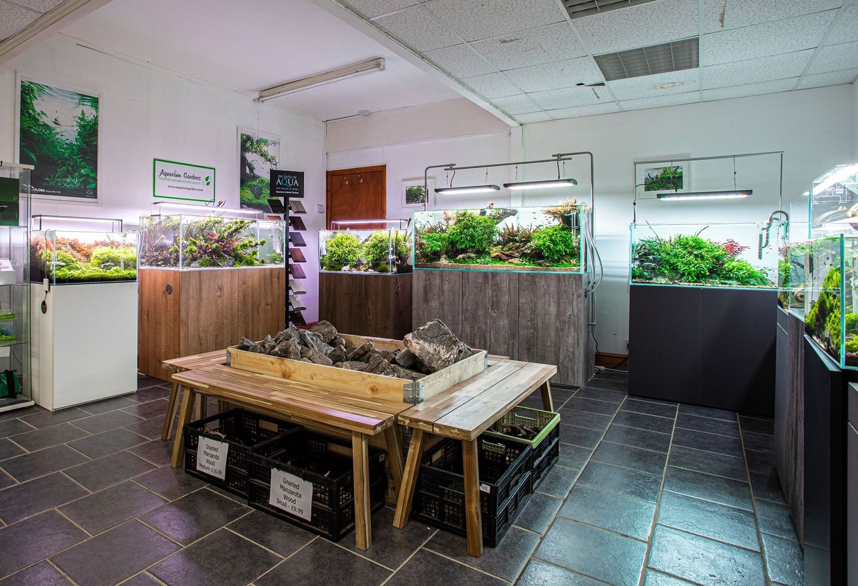 aquarium-gardens-aquascape-showroom-overview.jpg