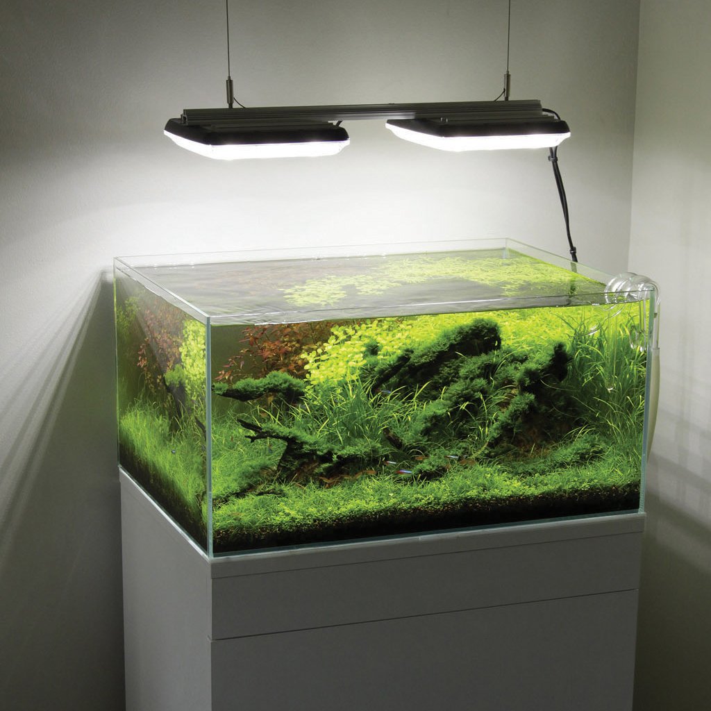 Aquascape_Image_1400x.jpg