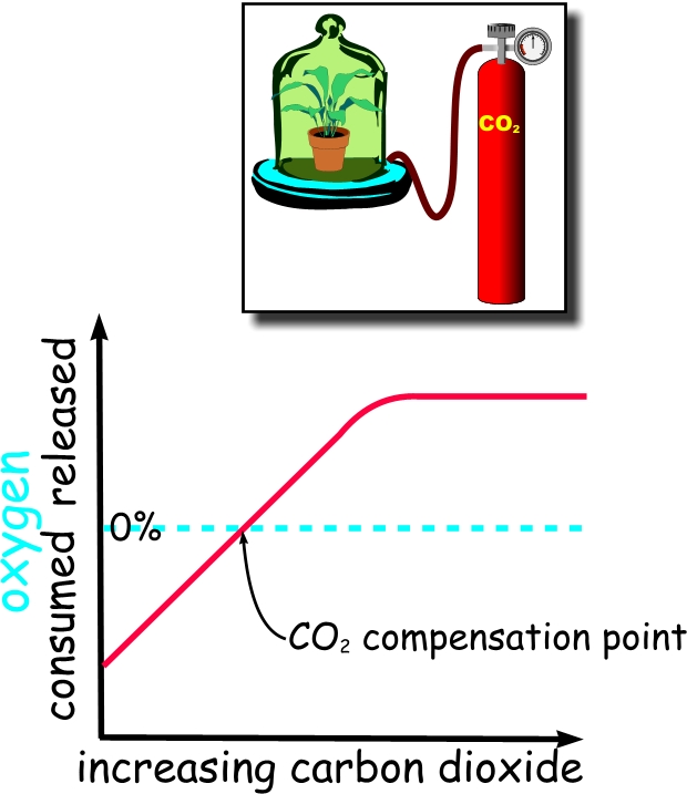 compensation-carbon-dioxide.jpg