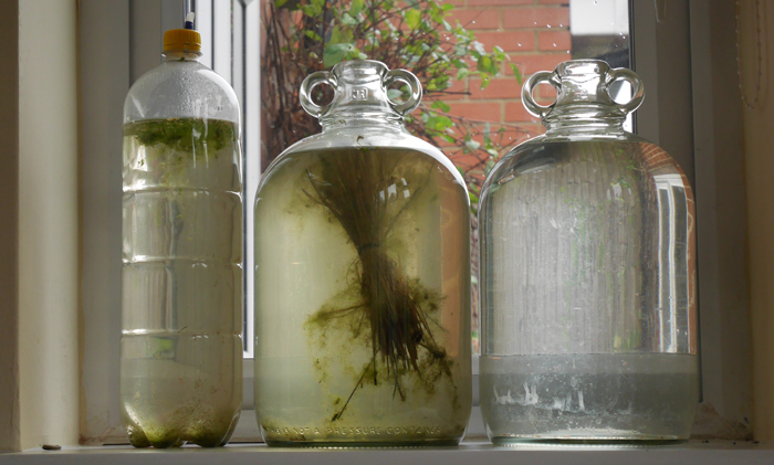 Demijohn pond and bag.jpg