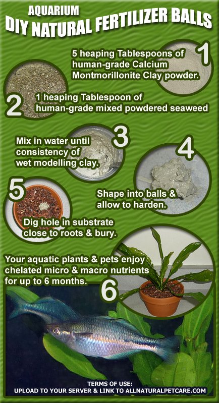 DIY_Natural_Clay_Fertilizer_Balls-Aquarium_Plants.jpg