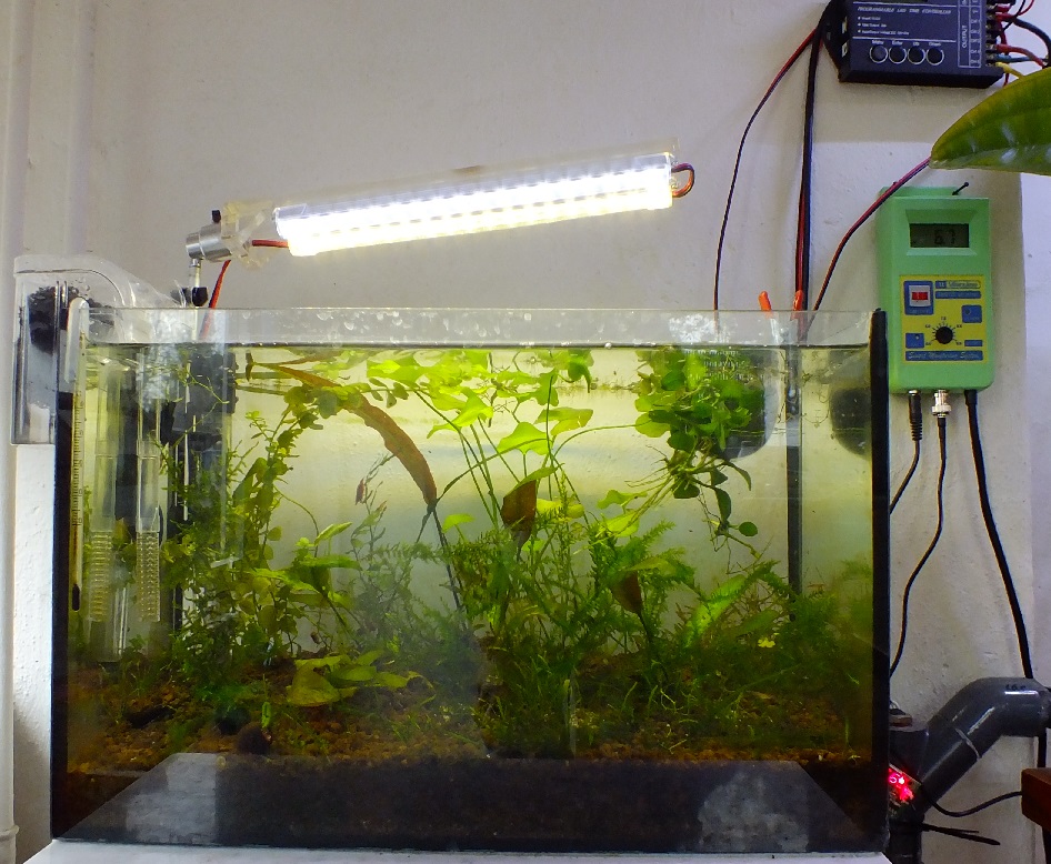 Ikea Grow Light For Plants Uk Aquatic Plant Society - Diy Aquarium Grow Light