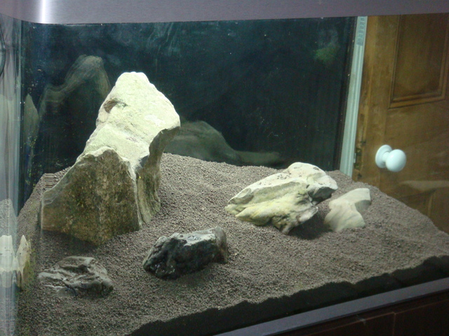 fishtank003.jpg