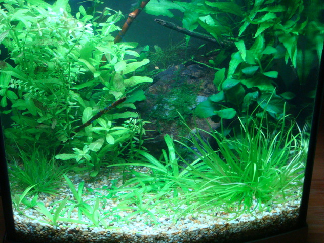 fishtank082.jpg