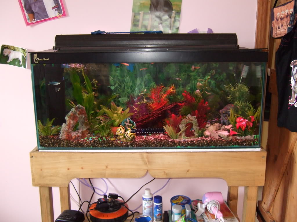 fishtankphotos089.jpg