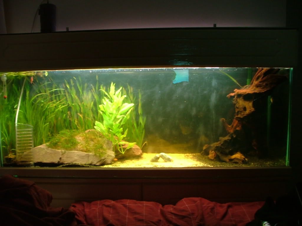 FTS230309.jpg