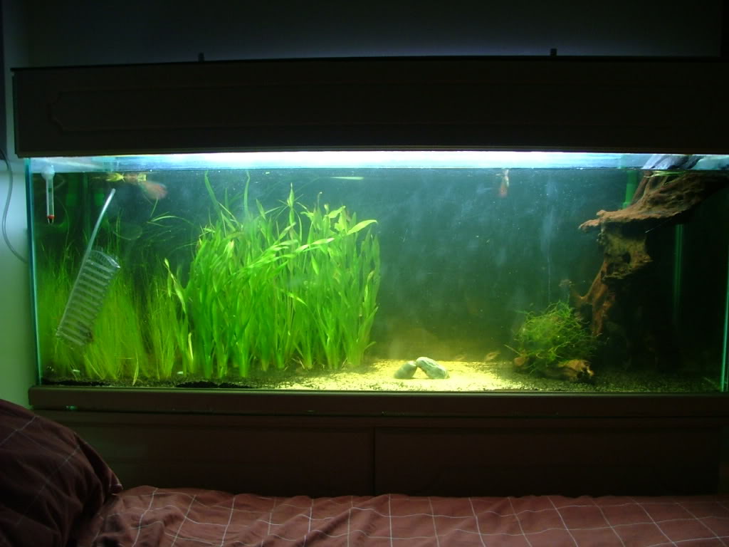 FTS240309.jpg