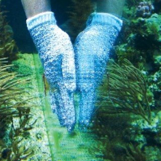 JBL-Aquarium-cleaning-glove2.jpg