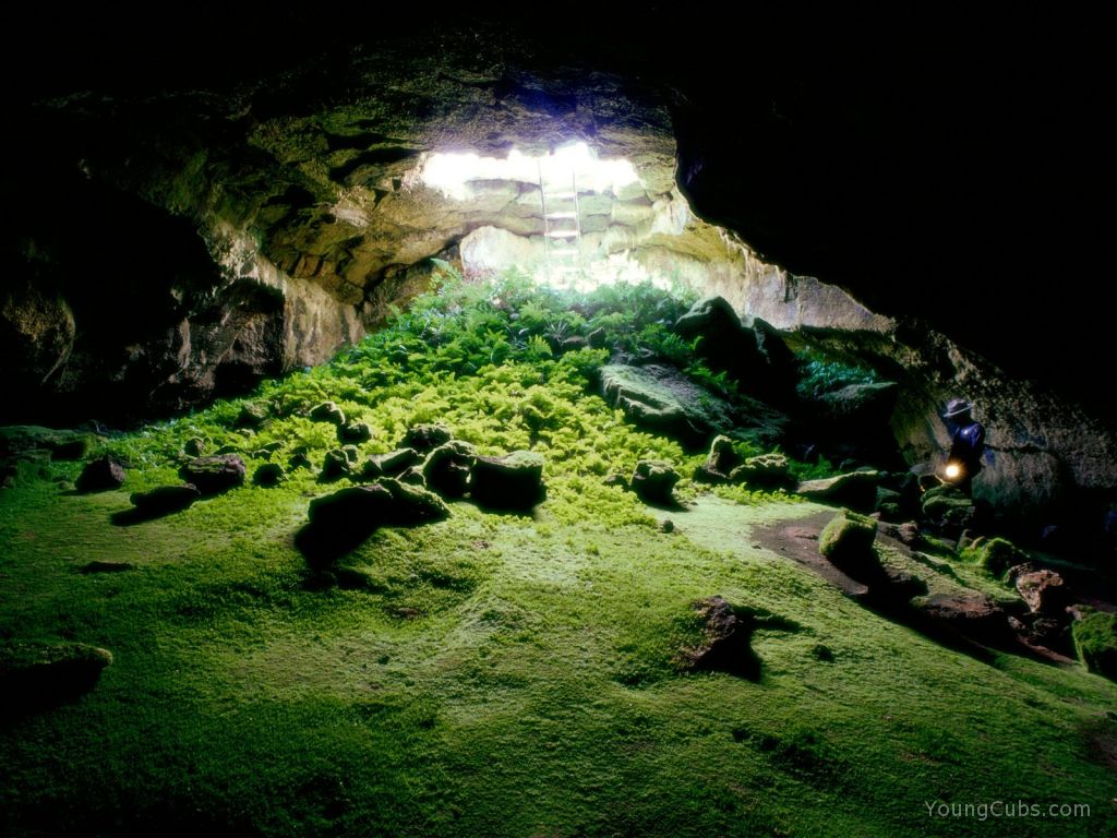 Lava%20Tube%20Cave,%20Lava%20Beds%20National%20Monument,%20Tulelake,%20California.jpg