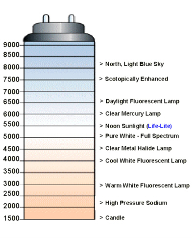 les-kelvin-scale.jpg