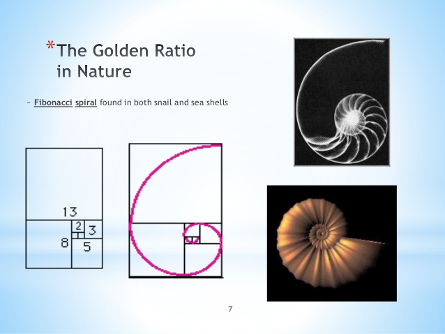 math-140-fibonacci-and-golden-ratio-7-638.jpg