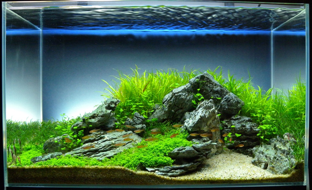 melbourne%20tank.jpg