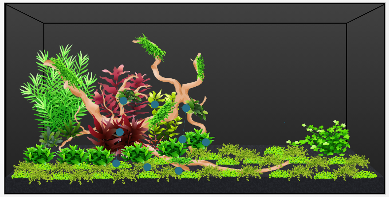 Planted Scape with only driftwood.png