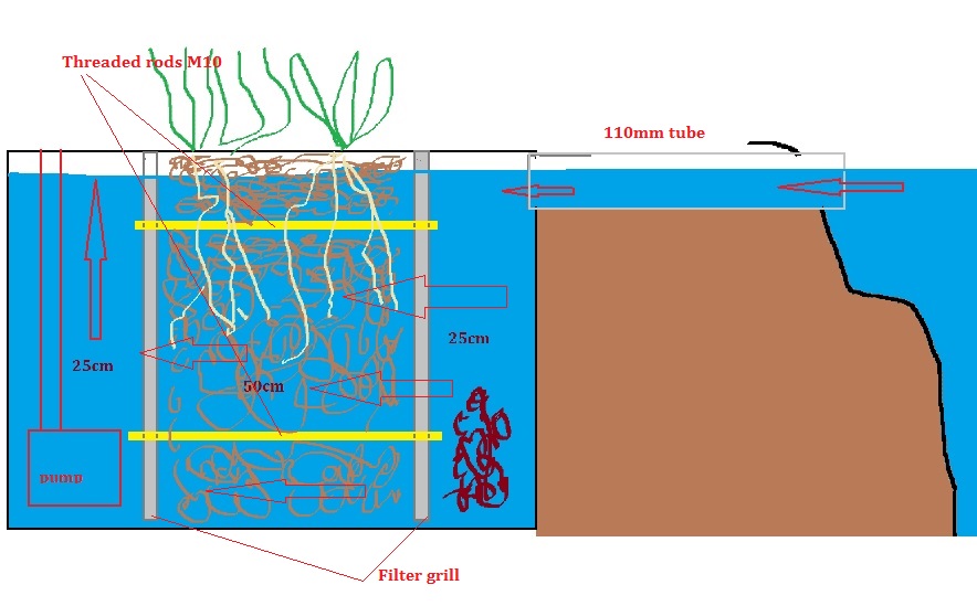 planted skimmer.jpg