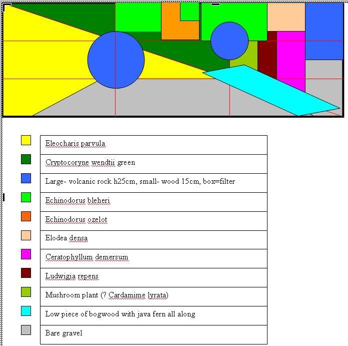 plantedplan.jpg