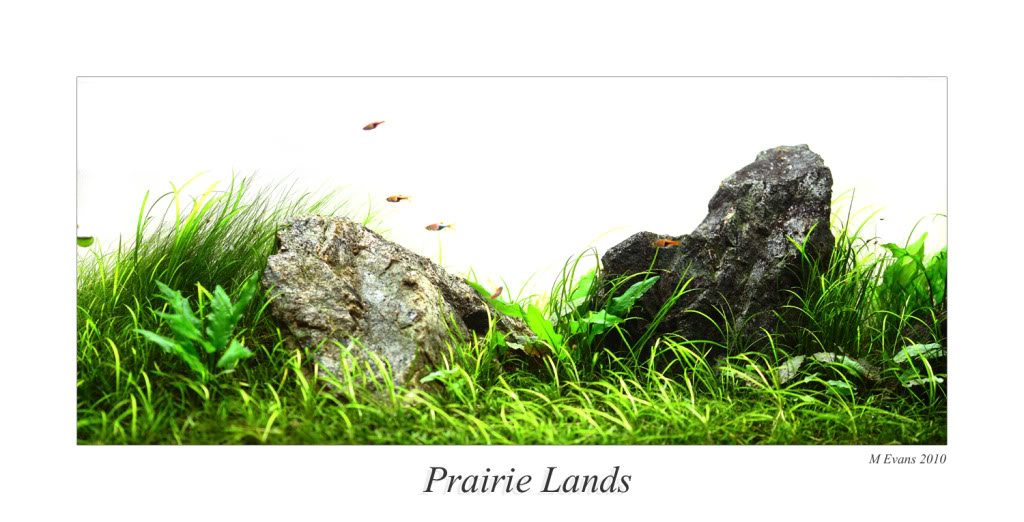 prairie-test-shot.jpg