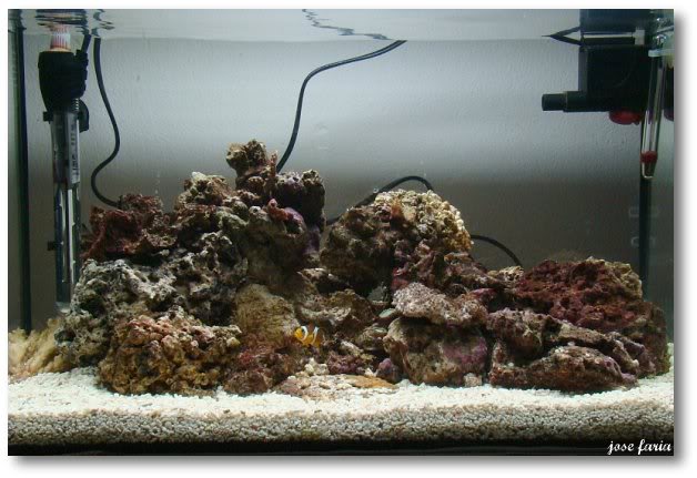 reefcube020-1.jpg