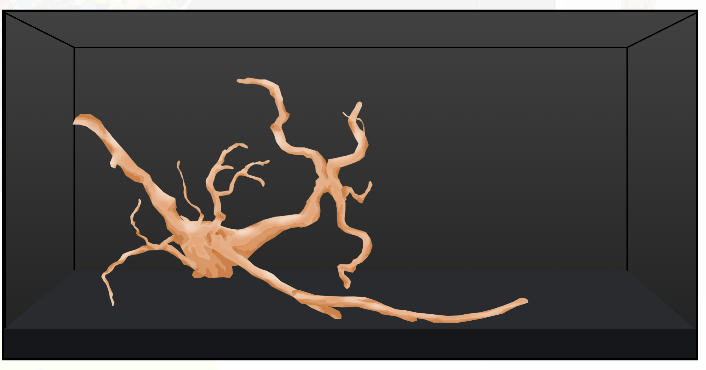 Scape with only driftwood.png