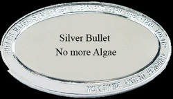 Silver%20Bullet%20%20thumb.jpg
