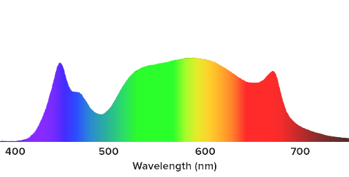 spectrum_primeFW%202.png