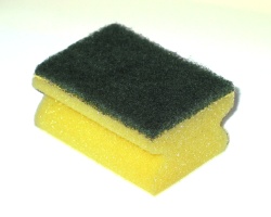 sponge250.jpg