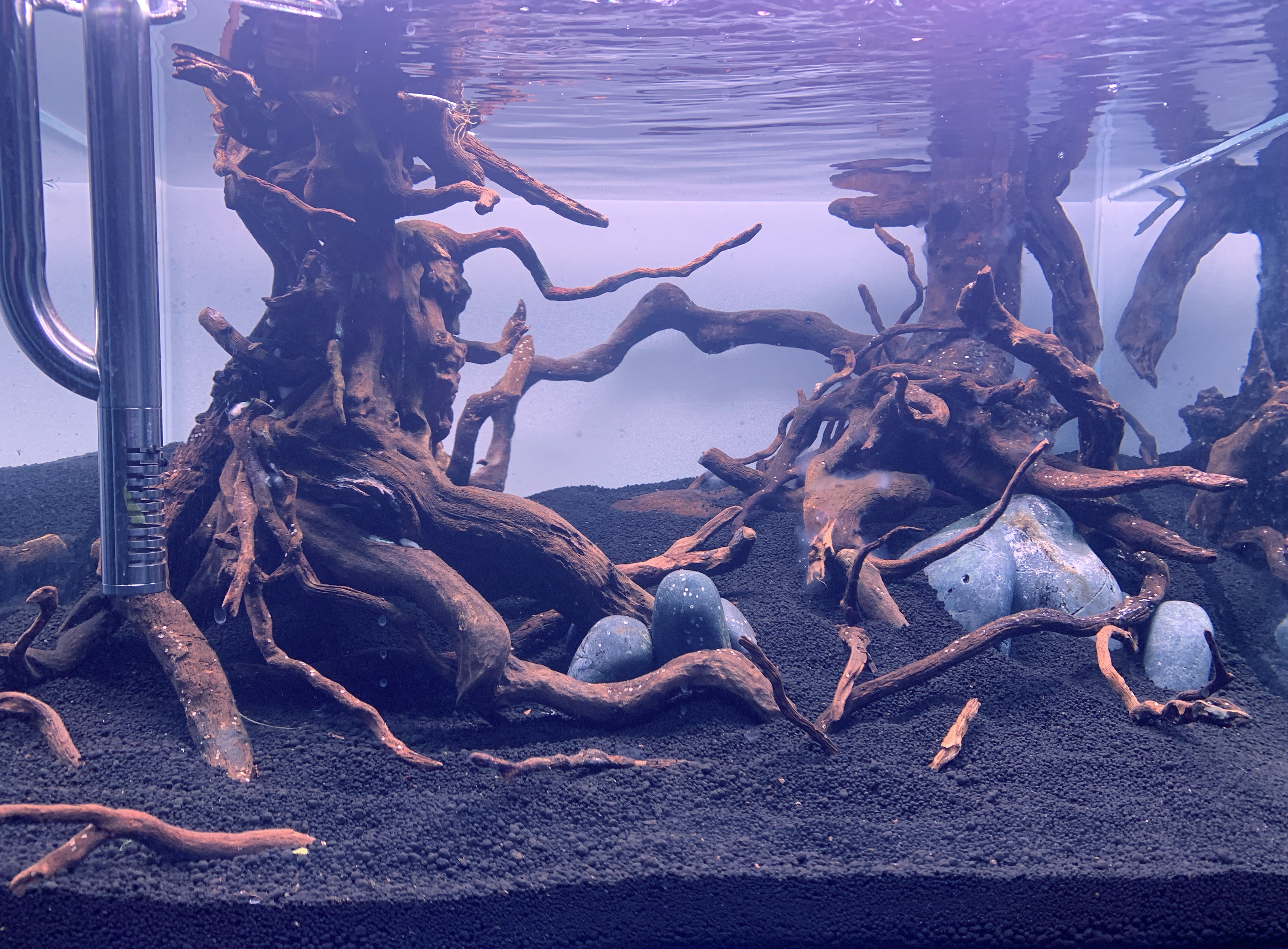 tank hardscape.jpg