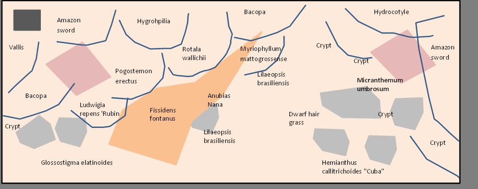 Tanklayout.jpg