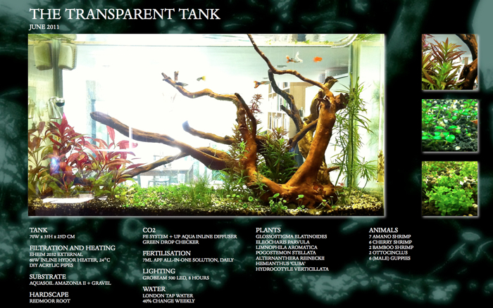 transparent%20tank%20june%202011.jpg