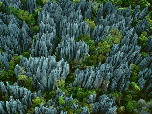 Tsingy-of-Bemaraha-Morondava-region-Madagascar.jpg