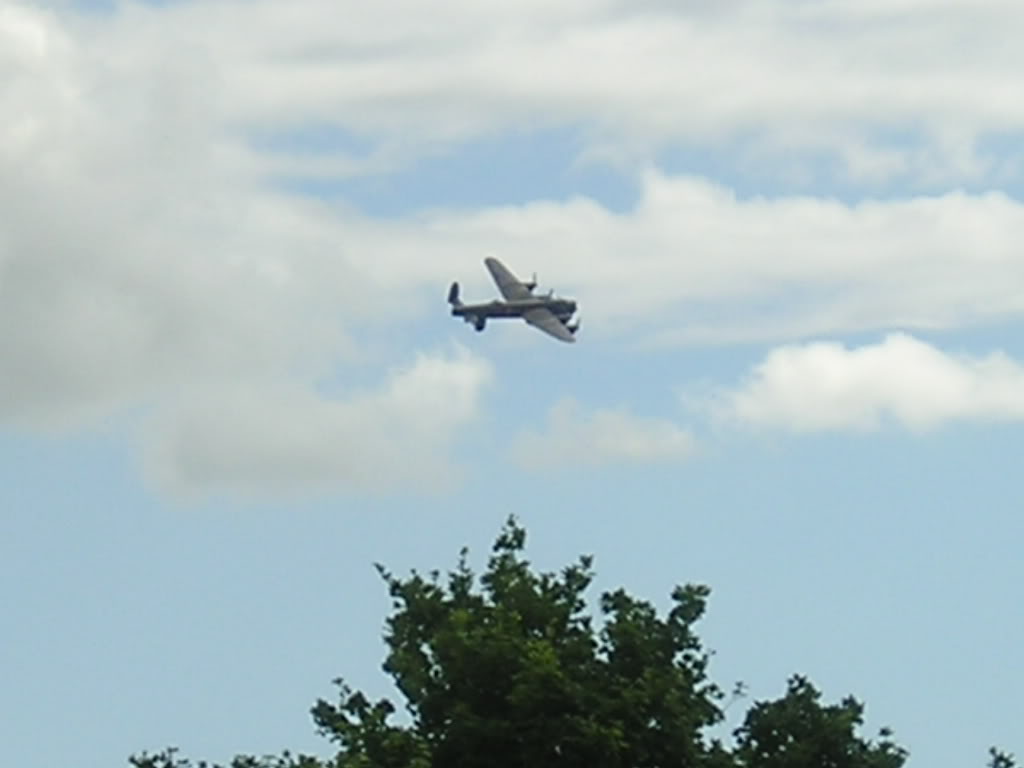 waddington028.jpg