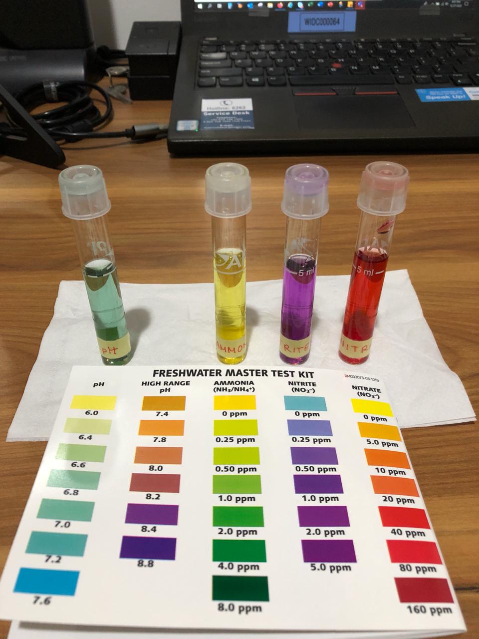 Water parameter test 5th Day.jpeg