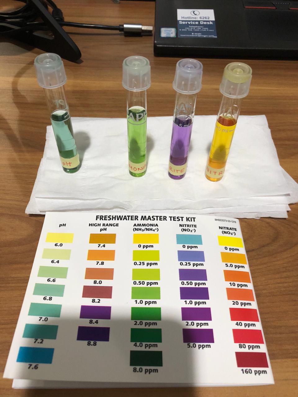 Water parameters 2nd Day.jpeg