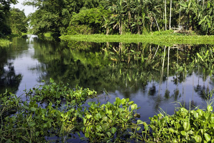 Water_Lagoon_Majuli_Assam_India_4543.jpg