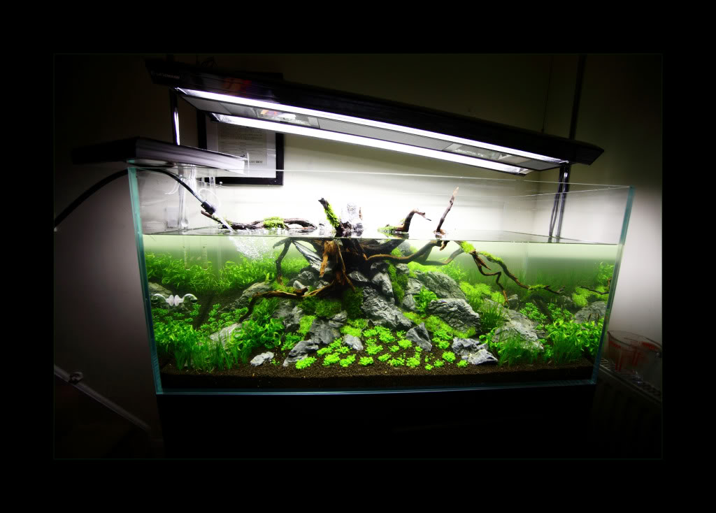 waterchange-1.jpg