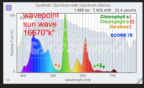 wavepointsunwave.JPG