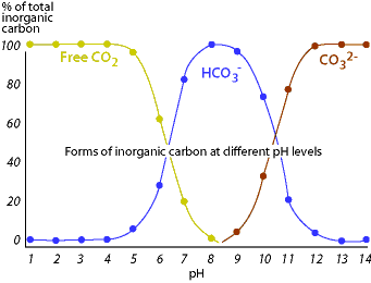 WQassess3bPICT1.gif