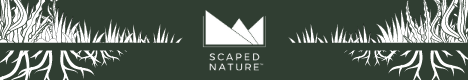 Scaped Nature