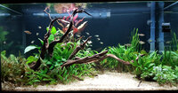 Tank_12days_1.jpg