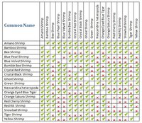 Dwarfd Shrimp compatibility-chart.jpg