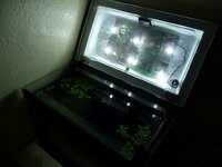 Leds-4.jpg