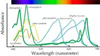 Pigment_spectra.jpg