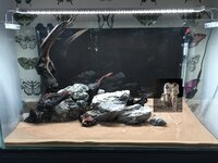 moon lander aquarium.jpg