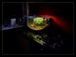 Scapers Tank 1 Main. (Small).jpg