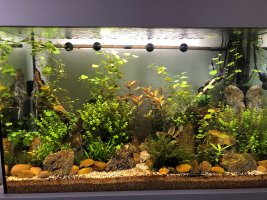 Tank Pic 1.jpg