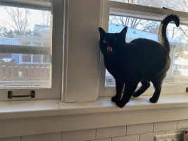 IMG_4619.jpeg IMG_4619.jpeg
